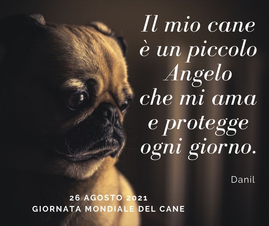 Immagine di un cane